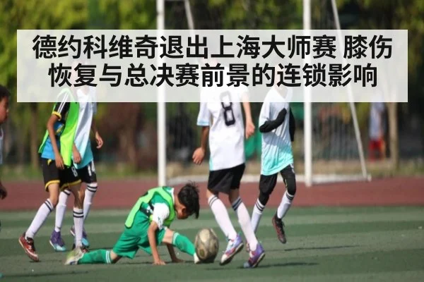 德约科维奇退出上海大师赛 膝伤恢复与总决赛前景的连锁影响